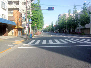 新青梅街道