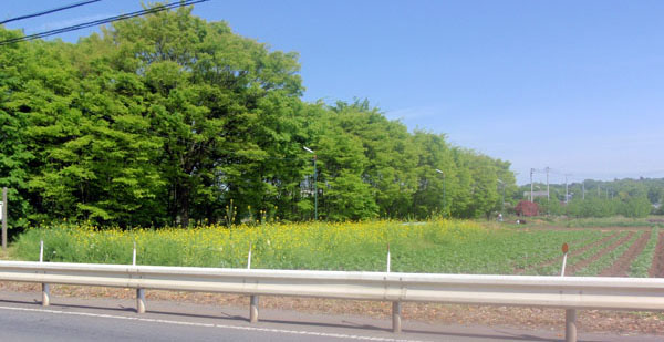 青梅近郊にて