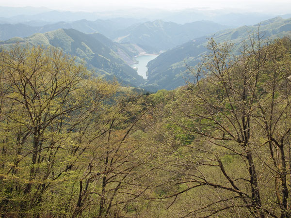 有間峠から名栗湖を望む