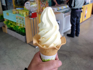 菜の花ソフトクリーム