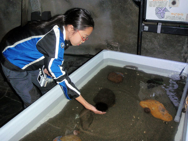 オホーツクタワー内にて