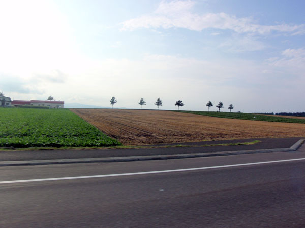 ＴＶで見た景色