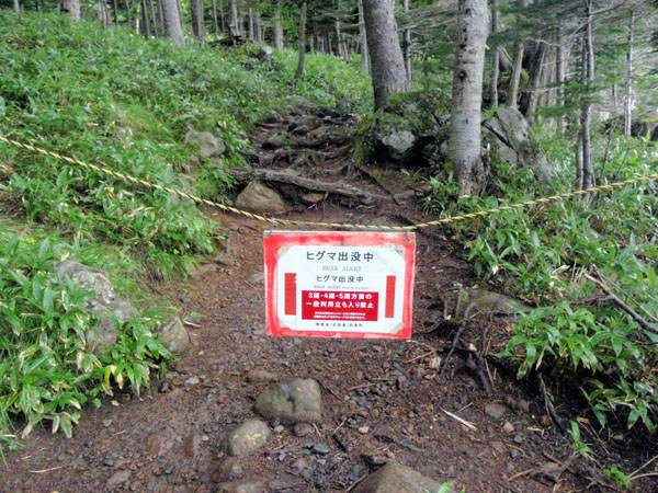 ヒグマ出没中