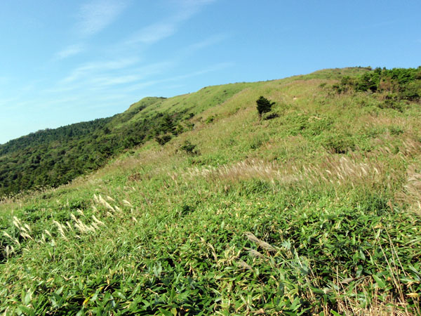 楮佐古小桧曽林道