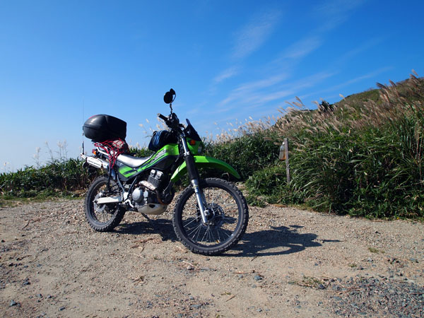 楮佐古小桧曽林道にて