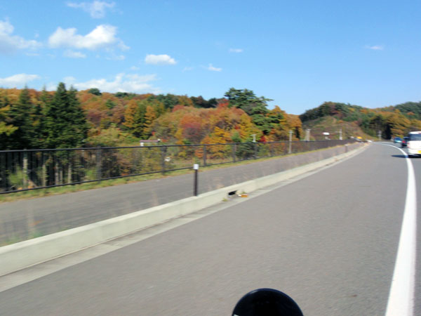 紅葉が徐々に目立ってきた