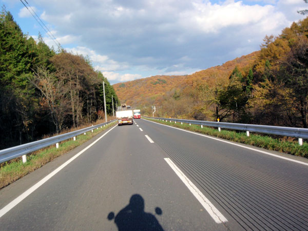 国道４号線沿いの紅葉