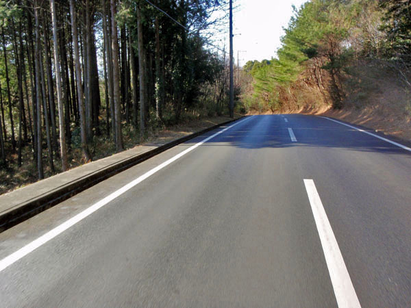 日陰は部分凍結