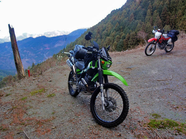 伊豆半島の土肥付近の林道にて