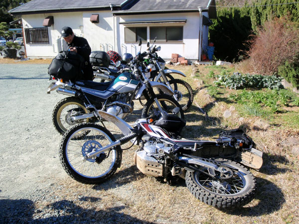 強風に倒されたセロー