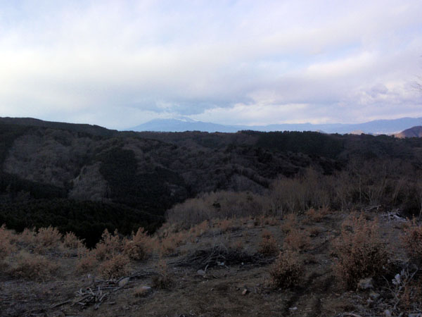 富士山が見える林道にて