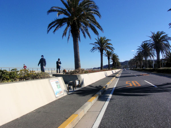 馬堀海岸横を走行中