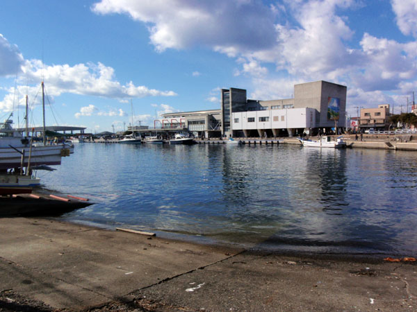 フィッシャリーナウォーフうらり