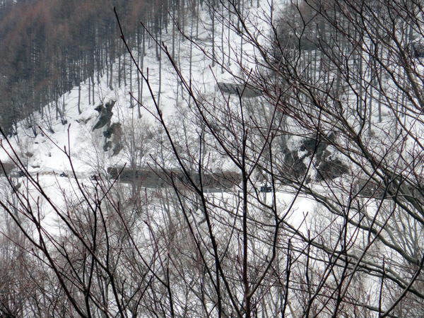 雪景色の中を疾走