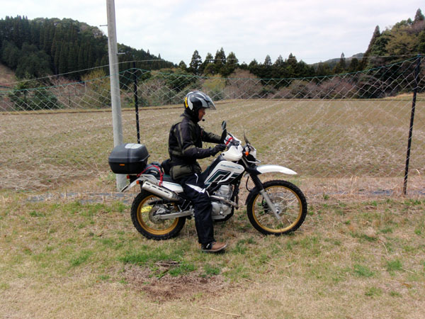 カメさんのセロー