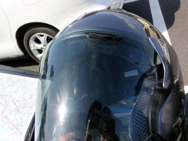 スギ花粉が付着したシールド