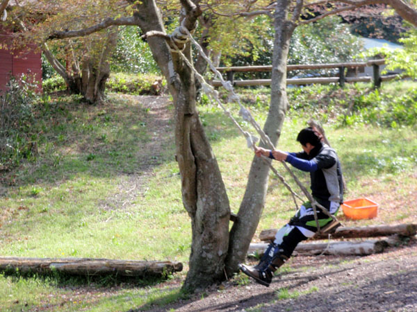 ブランコを楽しむカメさん