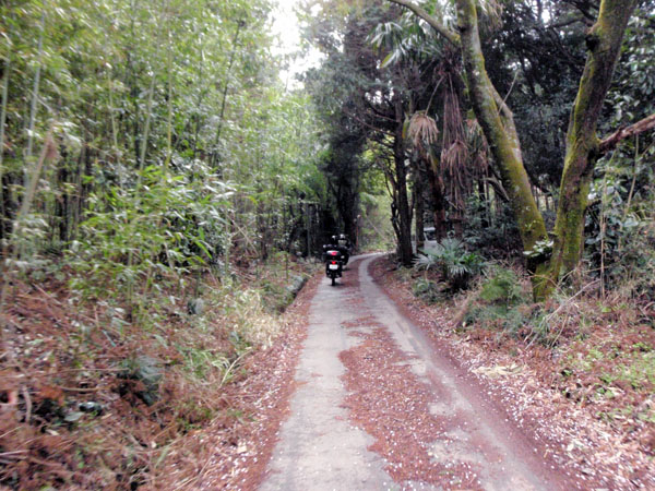 舗装林道を走行