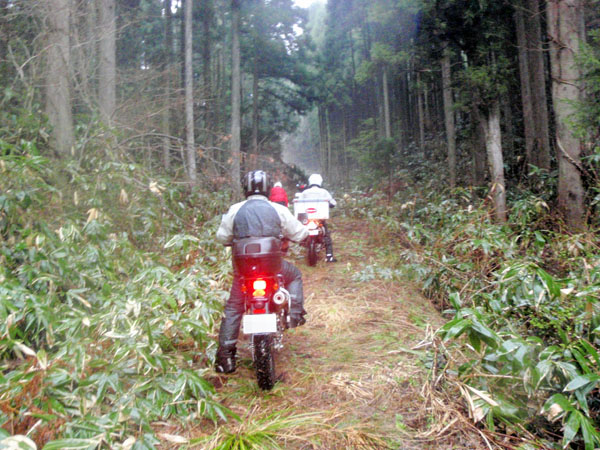 丸太越えで転倒発生