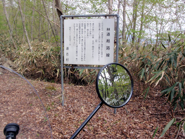 林道　越路線