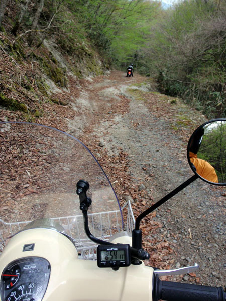 本格的な林道走行