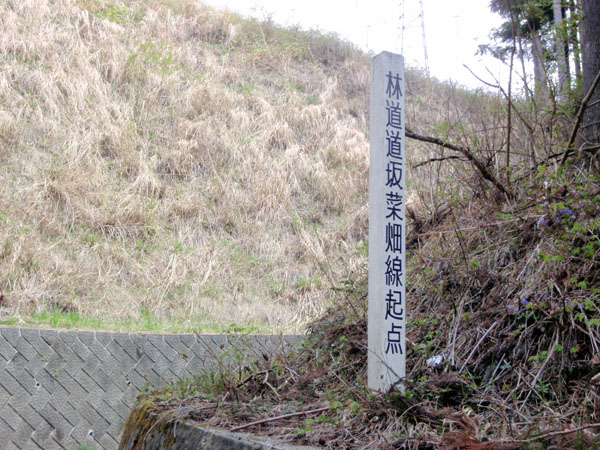 林道道坂菜畑線