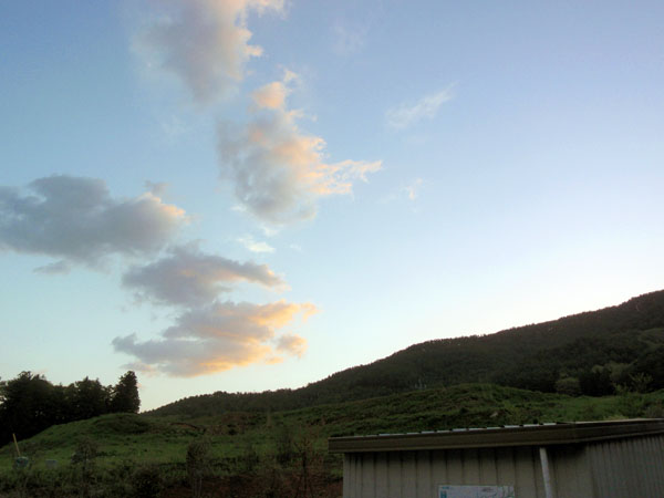 すがすがしい朝