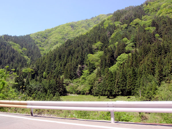 国道１５２号線の景色