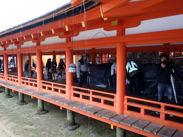 雨の厳島神社