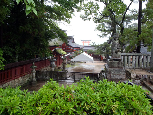 厳島神社裏より鳥居が見える風景