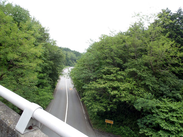 箱根ターンパイク