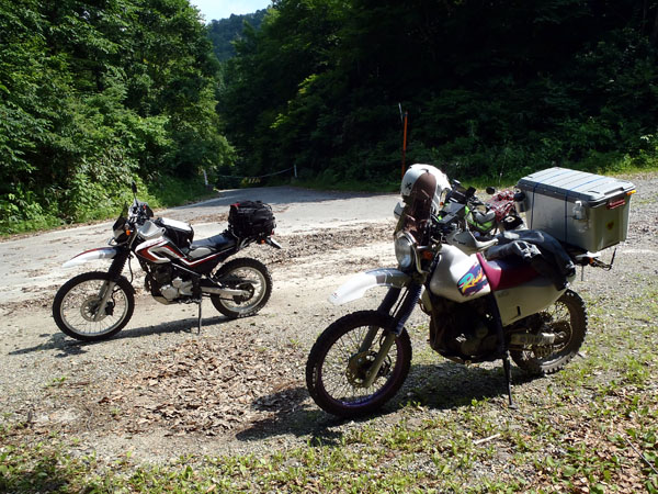 大窪林道走破！