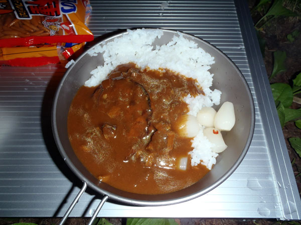 ハンバーグ入りカレーライス