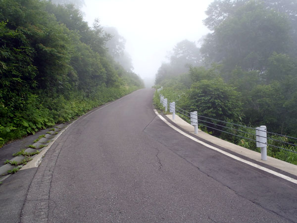 県道５０２号線（奥志賀林道）