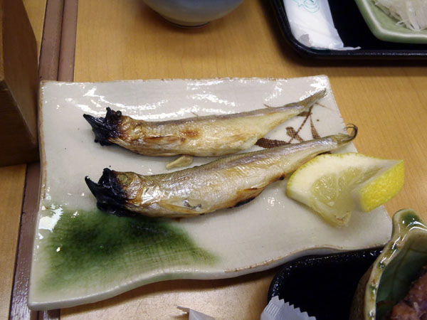 本物の「ししゃも」