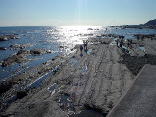 ちくら潮風王国