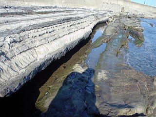 ちくら潮風王国