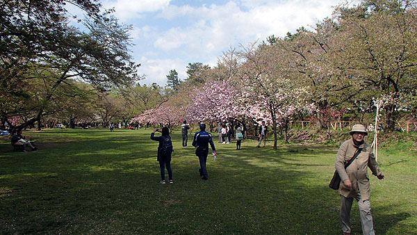 弘前公園