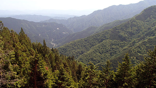 展望台からの景色