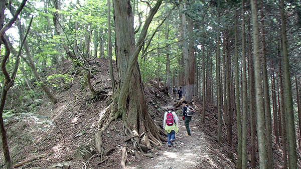 三峰神社の奥宮への登山道