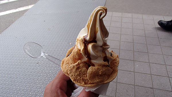 桔梗信玄ソフト