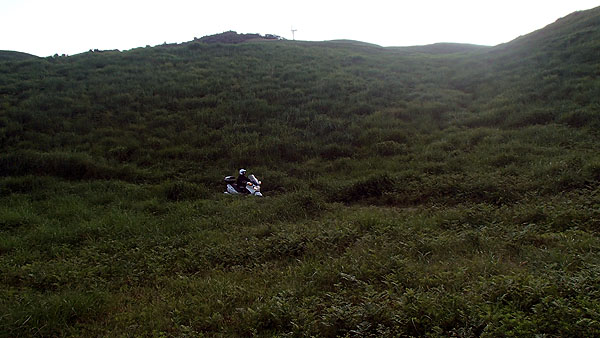 スカイウェブ６５０