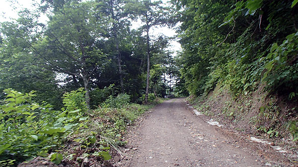 県道２４８号線（鎌内林道）