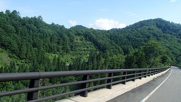 国道３９８号線