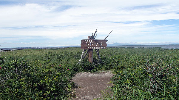 トドワラの景色