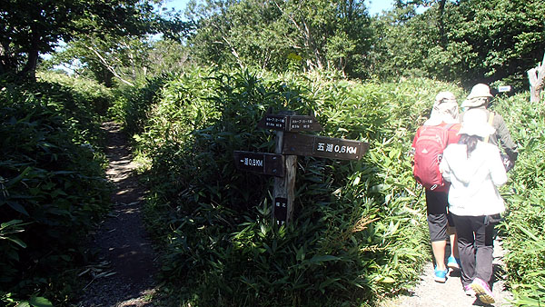知床五湖の散策