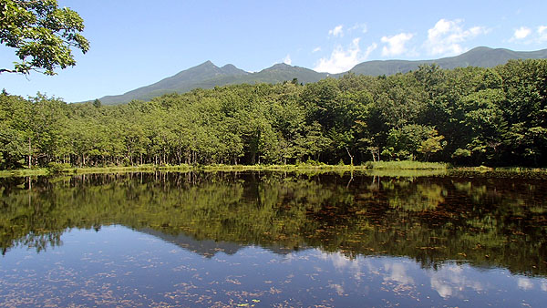 知床五湖の散策