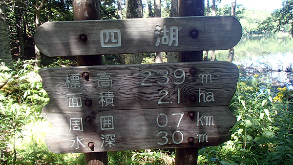 知床五湖の散策