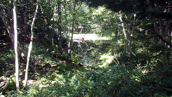 知床五湖の散策