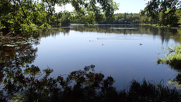 知床五湖の散策